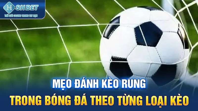 Mẹo đánh kèo rung trong bóng đá theo từng loại kèo